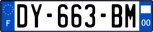 DY-663-BM