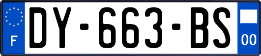 DY-663-BS