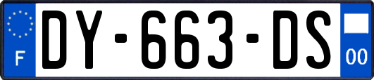 DY-663-DS