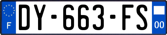DY-663-FS