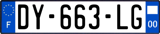 DY-663-LG