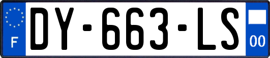 DY-663-LS