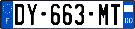 DY-663-MT