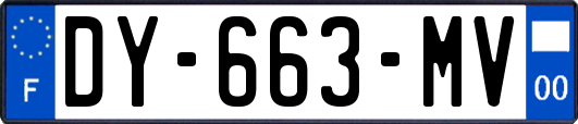DY-663-MV