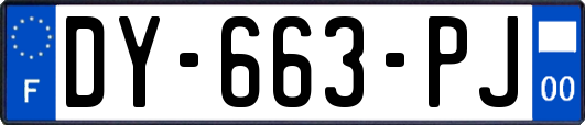 DY-663-PJ