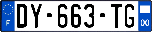 DY-663-TG