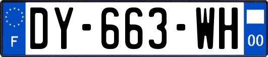 DY-663-WH