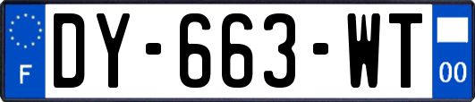 DY-663-WT