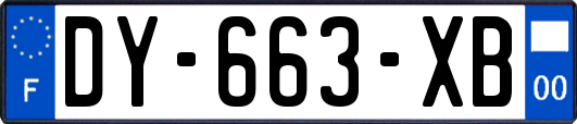 DY-663-XB