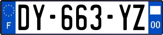 DY-663-YZ