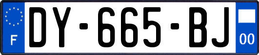 DY-665-BJ