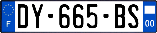 DY-665-BS