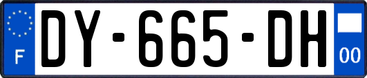 DY-665-DH