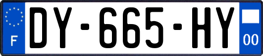 DY-665-HY