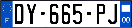 DY-665-PJ