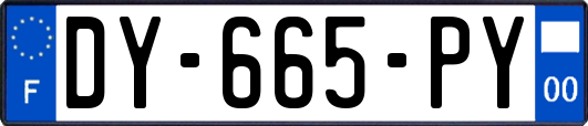 DY-665-PY