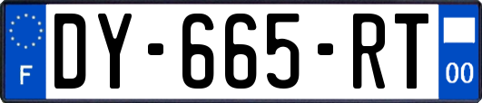 DY-665-RT
