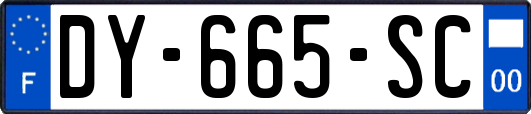 DY-665-SC