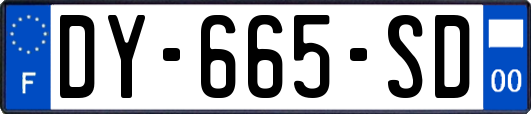 DY-665-SD