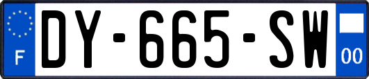 DY-665-SW