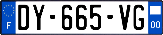 DY-665-VG