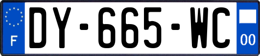 DY-665-WC