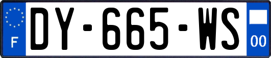 DY-665-WS