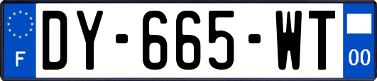 DY-665-WT