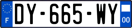 DY-665-WY