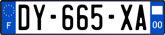 DY-665-XA