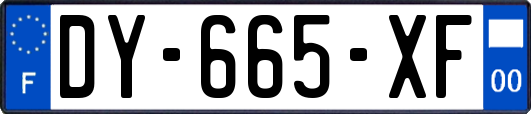 DY-665-XF