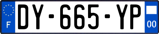 DY-665-YP