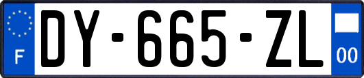 DY-665-ZL