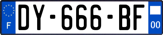 DY-666-BF
