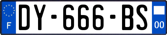 DY-666-BS