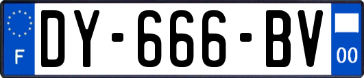 DY-666-BV