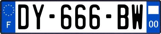DY-666-BW