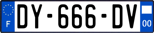 DY-666-DV