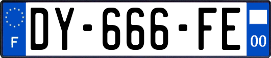 DY-666-FE