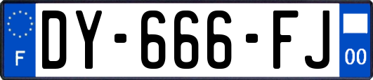 DY-666-FJ