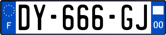 DY-666-GJ