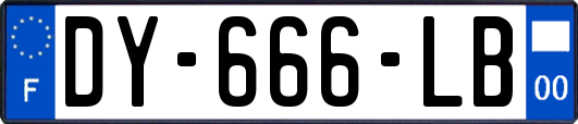 DY-666-LB