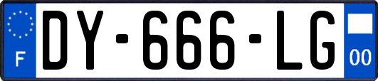 DY-666-LG