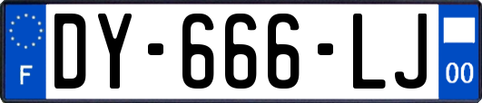 DY-666-LJ