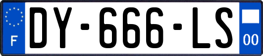 DY-666-LS