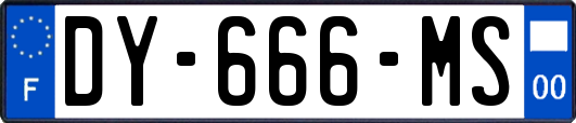 DY-666-MS