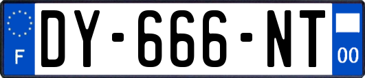DY-666-NT