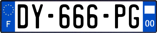 DY-666-PG