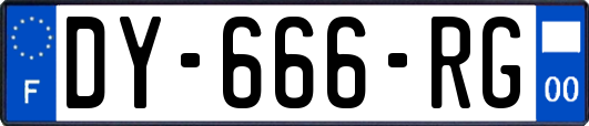 DY-666-RG