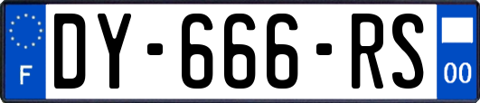 DY-666-RS